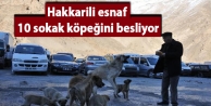 Hakkarili esnaf 10 sokak köpeğini besliyor