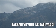 Hakkari'ye yılın ilk karı yağdı