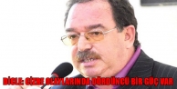Hatip Dicle: Cizre olaylarında dördüncü bir güç...