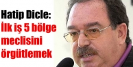 Hatip Dicle: İlk iş 5 bölge meclisini örgütlemek