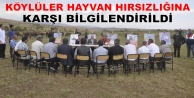 Hayvan Hırsızlığına Karşı Önlem 
