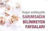 Her derde deva: Sarımsak