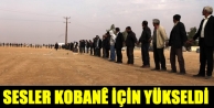 İnsan zincirinde sesler Kobanê için yükseldi