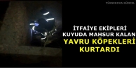 İtfaiye Ekipleri 3 Gündür Kuyuda Mahsur Kalan Yavru...