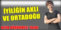 İyiliğin Aklı Ve Ortadoğu