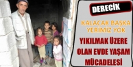 Kalacak Başka Yerimiz Yok