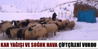 Kar Yağışı ve Soğuk Hava Çiftçileri Vurdu