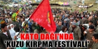 Kato Dağı'nda 'Kuzu Kırpma Festivali'