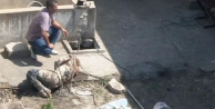 Kayıptı, cesedi su kuyusunda bulundu!