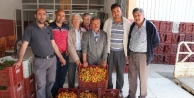 Kayısı Üreticinin Yüzünü Güldürdü