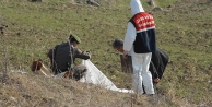 Kızıltepe'de bir erkek cesedi bulundu