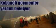 Kobanêli göçmenler yardım bekliyor