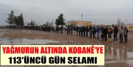 Kobanê'ye 113'üncü gün selamı