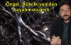 'Kölelik yeniden hayatımıza girdi'