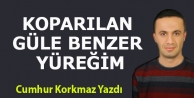 Koparılan Güle Benzer Yüreğim