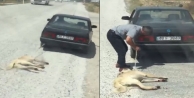 Köpeği aracının arkasına bağlayıp sürükleyen...