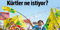 Kürtler Demokratik Özerklikle ne istiyor