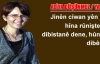Lêgerîn û Kirînerên Jinan