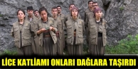 Lice katliamı onları dağlara taşırdı
