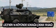 Lice’nin 16 köyünde sokağa çıkma yasağı
