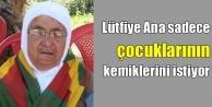 Lütfiye Ana sadece çocuklarının kemiklerini istiyor