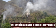 Meyvelik Alanda Korkutan Yangın