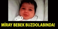 Miray bebek buzdolabında!