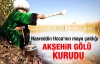 Nasreddin Hoca'nın maya çaldığı göl kurudu