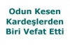 Odun Kesen Kardeşlerden Biri Vefat Etti