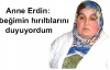 'Olayın peşini bırakmayacağız'