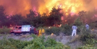 Orman yangınları bu yıl azaldı