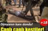 Orta Afrika’da kan donduran işkence