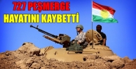 Peşmerge Bakanlığı: 727 peşmerge hayatını kaybetti