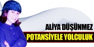 Potansiyele Yolculuk