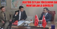 Rektör Ceylan Yüksekova’da Muhtarlarla Görüştü