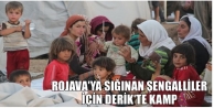 Rojava'ya sığınan Şengalliler için Derik'te kamp