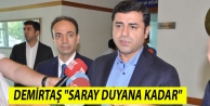 'Saray sesimizi duyana kadar...'