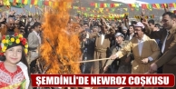 Şemdinli'de Newroz Coşkusu