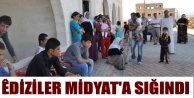 Şengal ve Şêxan'dan kaçan Êdiziler Midyat'a sığındı