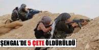 Şengal’de 5 çete öldürüldü