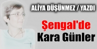 Şengal'de Kara Günler