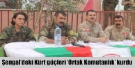 Şengal’deki Kürt güçleri ‘Ortak Komutanlık’...