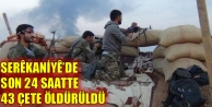 Serêkaniyê’de son 24 saatte 43 çete öldürüldü