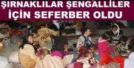 Şırnaklılar Şengalliler için seferber oldu