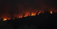 Şırnak'ta orman yangını