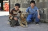 Sokak köpekleri çocuklara emanet