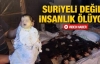 Suriye'deki katliamdan ilk görüntüler