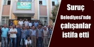 Suruç Belediyesi'nde çalışanlar istifa etti