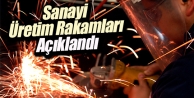 TÜİK, Sanayi Üretim Endeksi'ni açıkladı