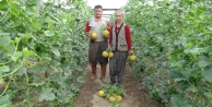 Türkiye’nin ilk kavun hasadı Silifke'de başladı